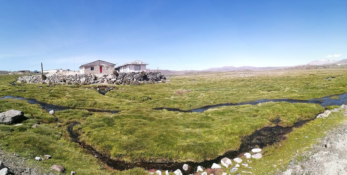 El lago Chungará es un lago ubicado en la Provincia de Parinacota, Región de #Arica y #Parinacota, en el extremo norte de Chile. Es uno de los más altos del mundo a 4500 m s. n. m.

📷 Michelle Aguilera Valdivia

#NortedeChile