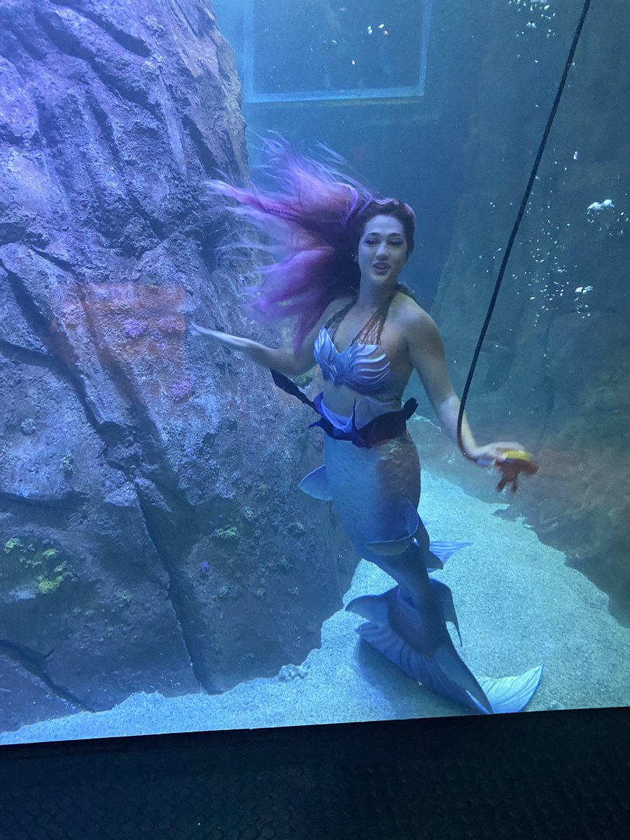 lilbRaleigh33's tweet photo. Thank you @AdventureAqua for a great time tonight! The mermaids were amazing and Ginny and Button were so playful! Addie loved it! https://t.co/no7RR7Io8s
