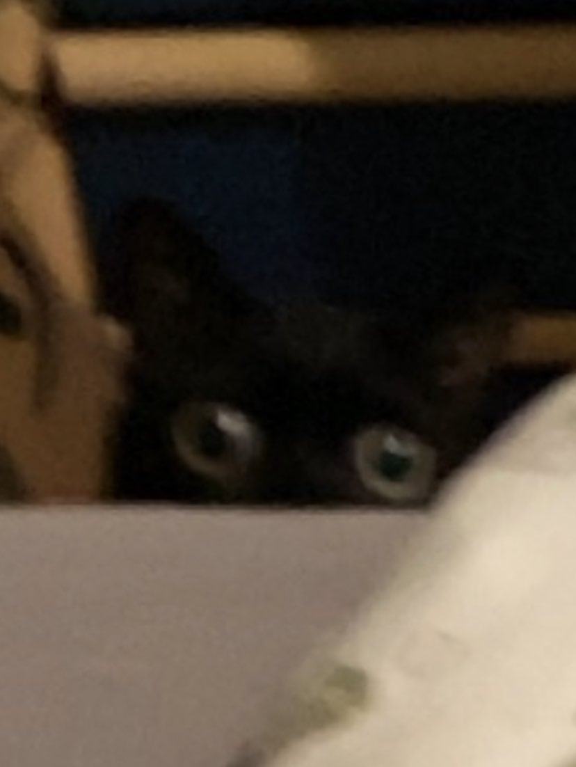 pov: she’s about to strike