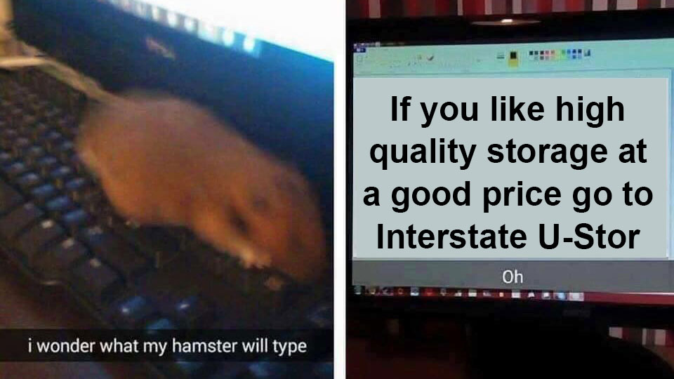 InterstateUStor's tweet image. The hamster knows what&apos;s up. 
#storage #reno #renostorage