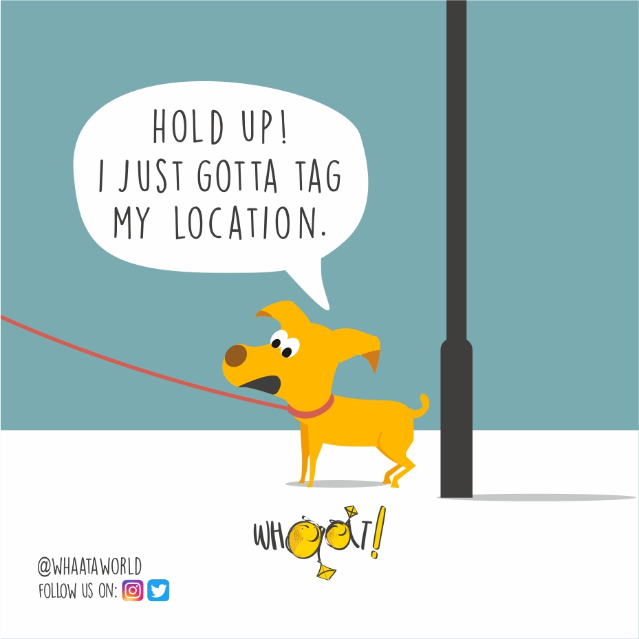 whaataworld's tweet photo. Wait a minute ... #dogthings #dogsproblems #whaat #whaataworld https://t.co/DWhVTUaqb4