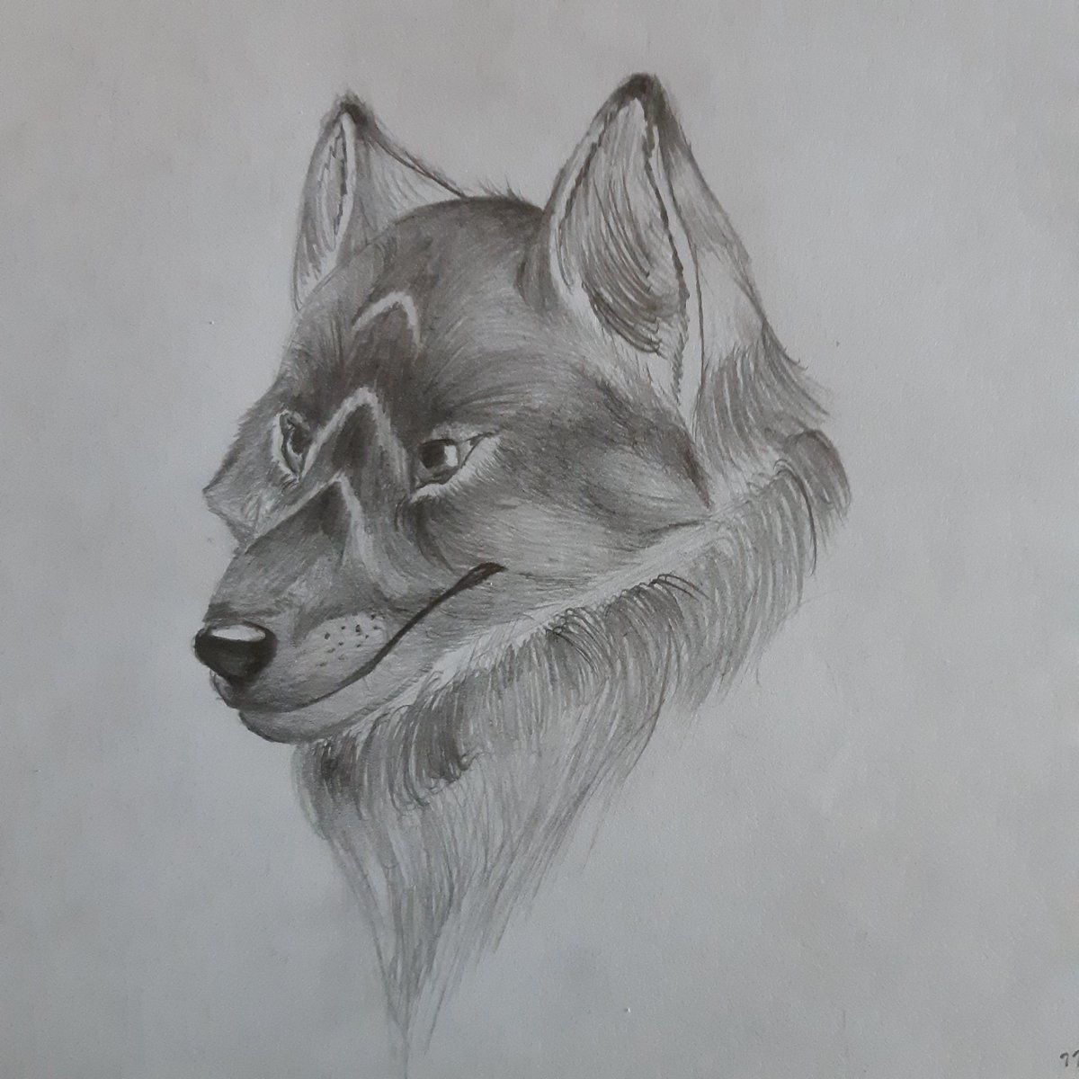 Lauda_the_hyena tweet media