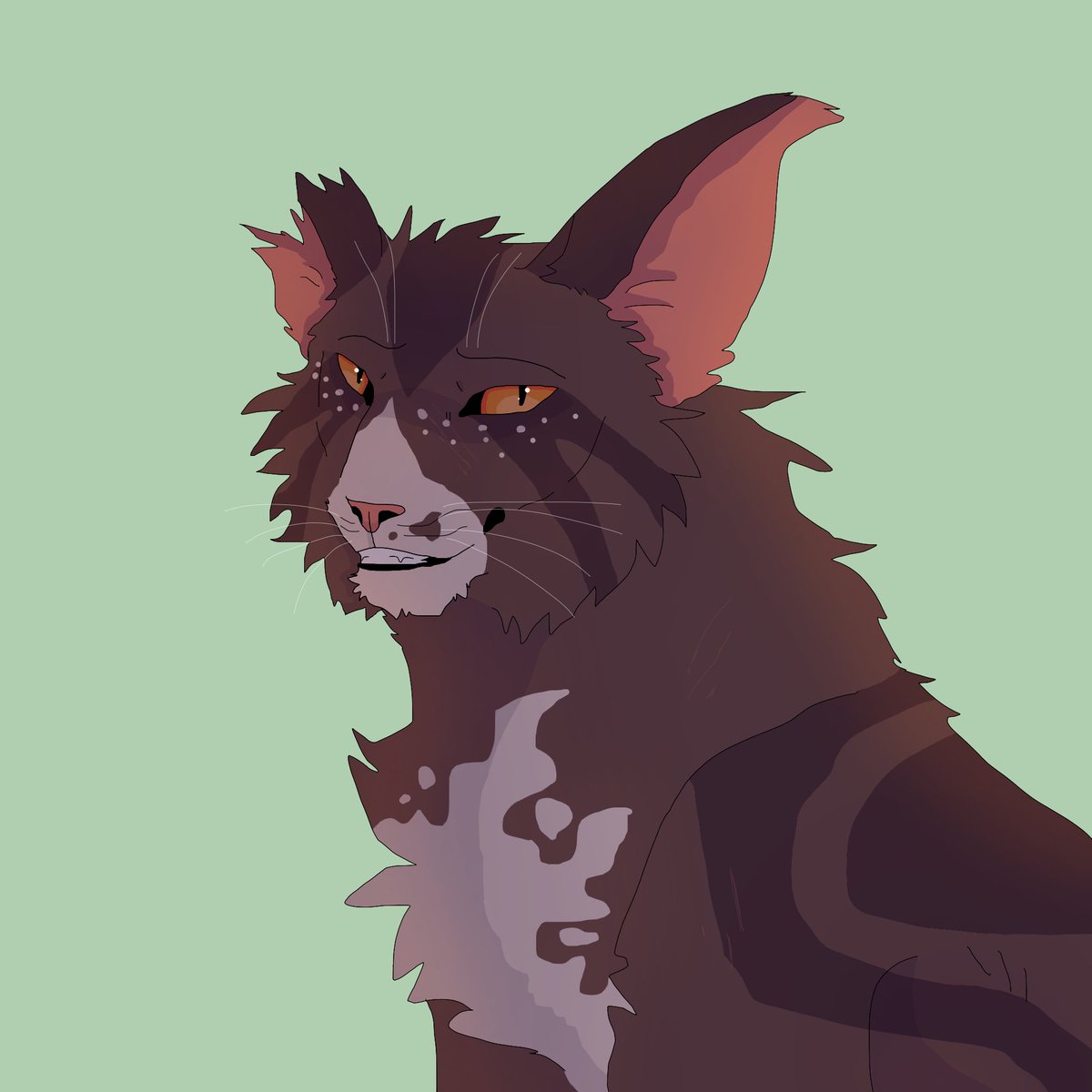 BrambsOnFire's tweet photo. It's Strikestone!
#strikestone #warriorcats #warriors https://t.co/anbUg7VyaS
