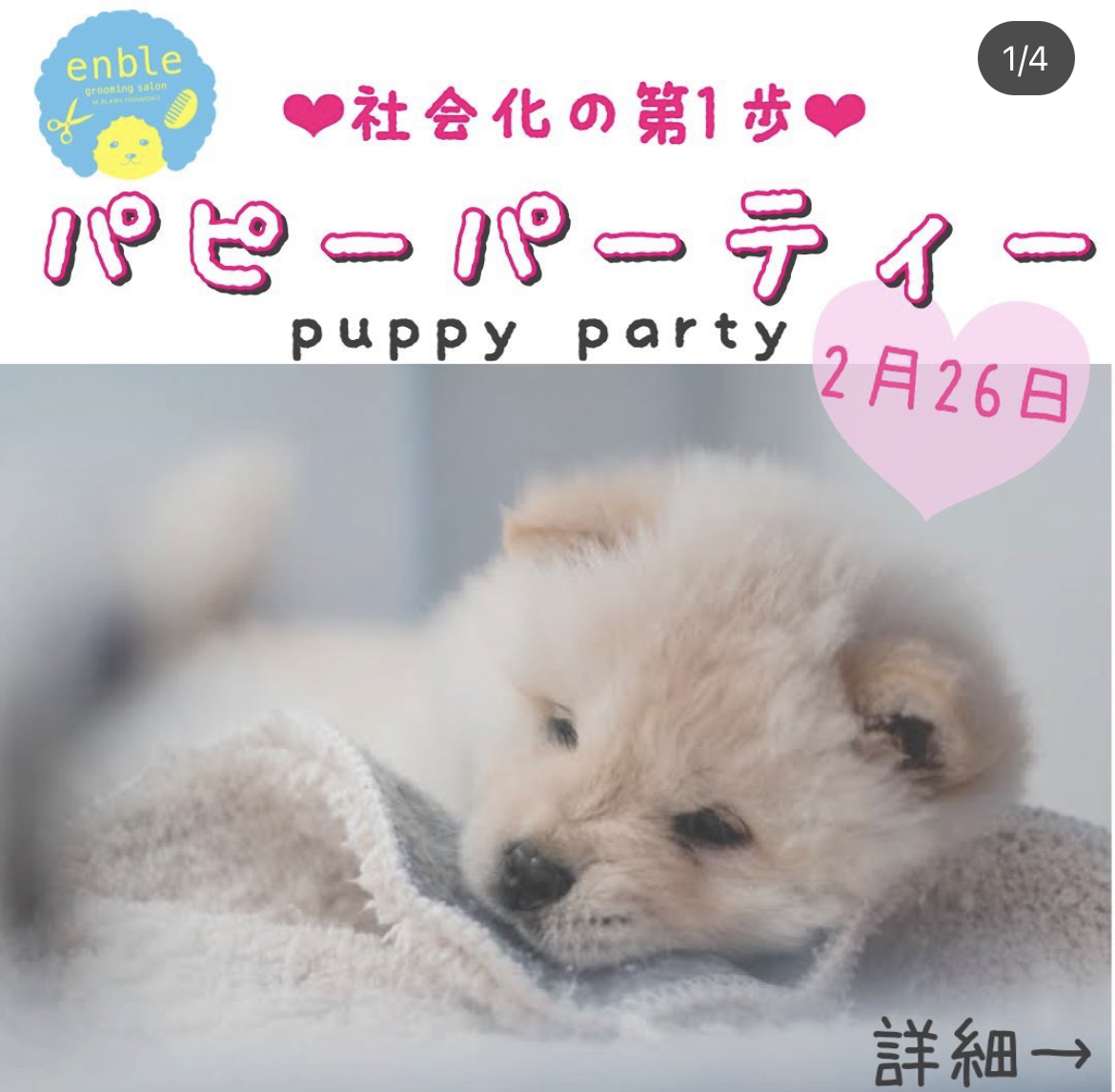 enble11's tweet photo. https://t.co/HrxoOhjm2W
#横浜トリミング #トリミング #ドッグラン #犬の幼稚園 #本牧���頂公園 #港北ニュータウン #センター北 https://t.co/jhCajZ9SIE
