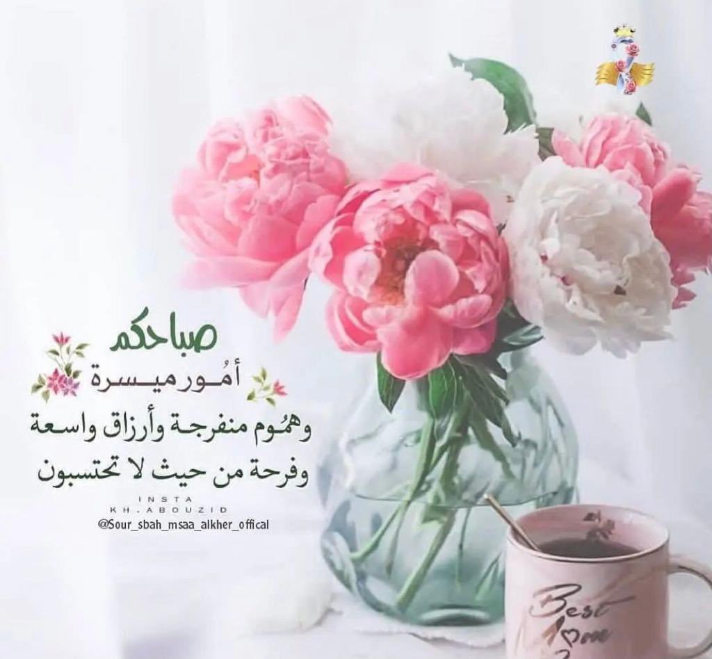 SLEELT MJD UAE (@uae_mjd) on Twitter photo 