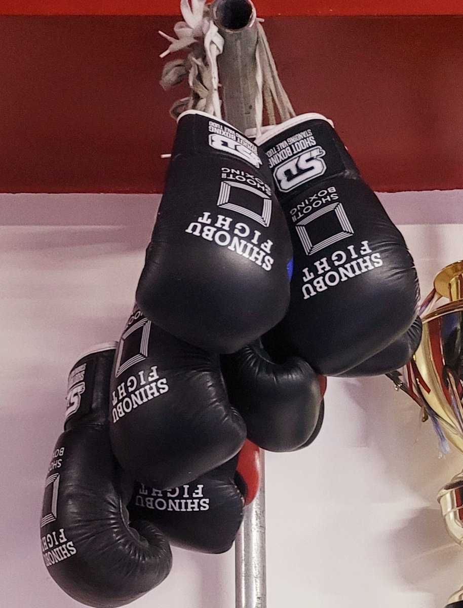 ШИНОБҮ АМАРБАЯСГАЛАН (@shinobu_amaraa) on Twitter photo 