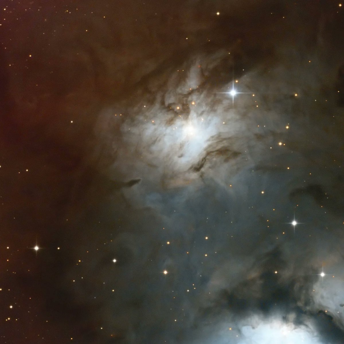 Mathew Ray tweet media