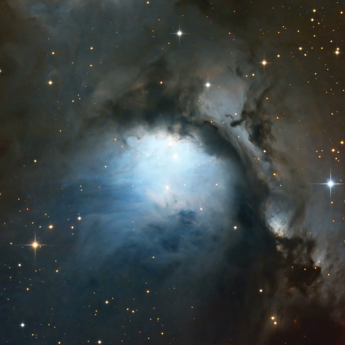 Mathew Ray tweet media