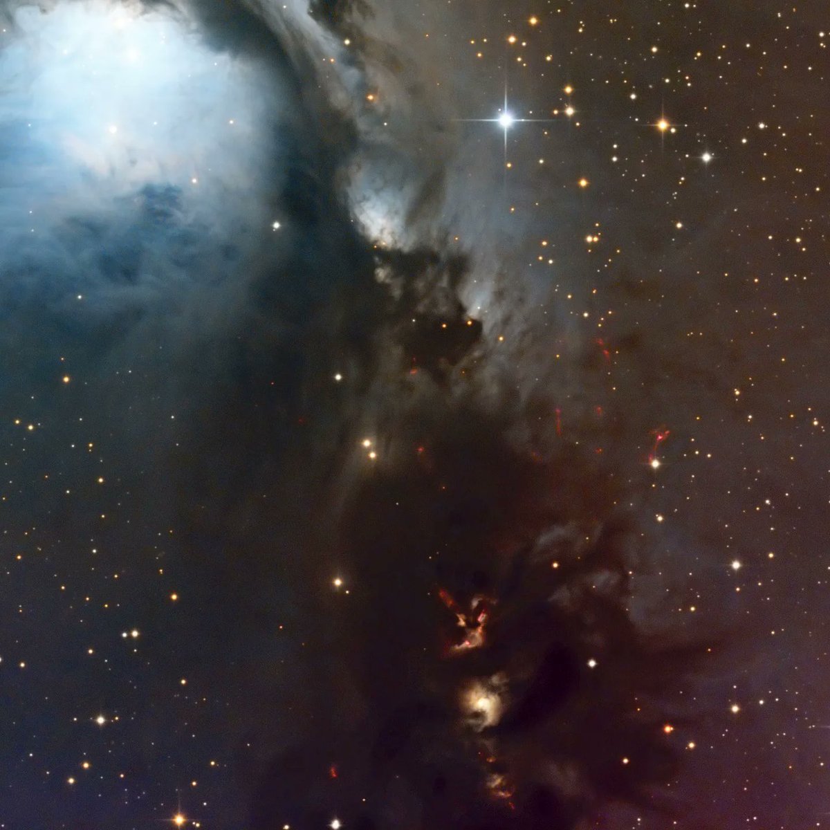 Mathew Ray tweet media