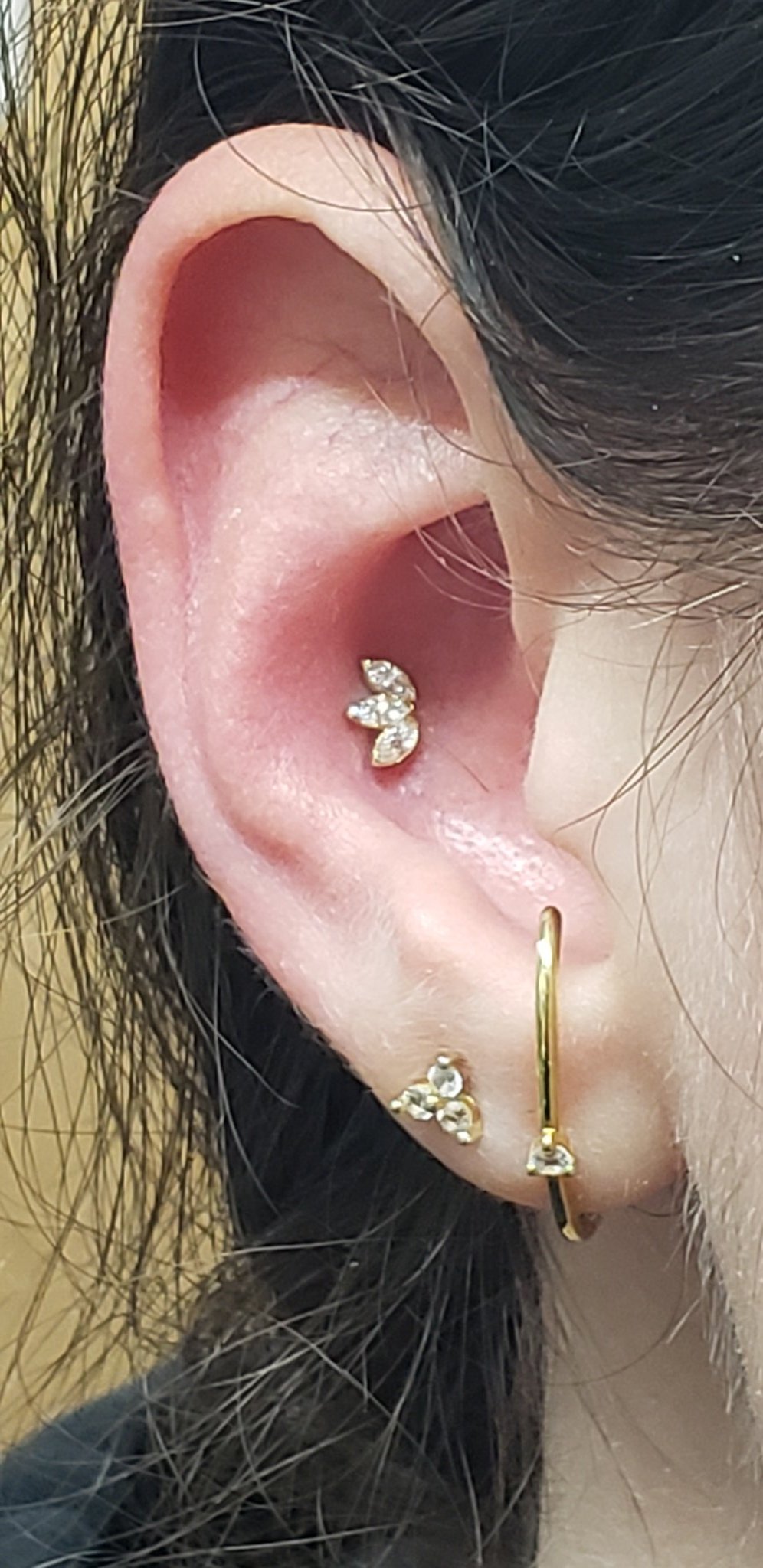 Gold hotsell conch stud