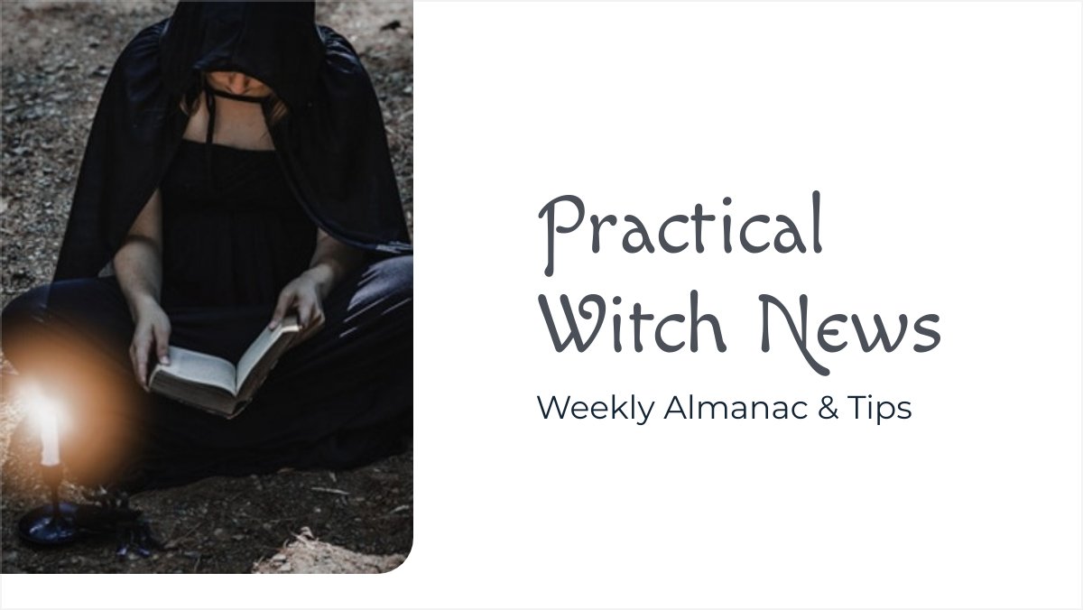 🌙 Witch's Newsletter - Updates and New Design - mailchi.mp/f26a3657b75b/w…
