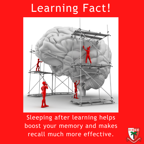 DESCDubai's tweet photo. #education #teachingandlearning #school #teaching #learning #classroom #teaching #DESCLearning #DESCTeaching https://t.co/VPhuXiJEsR