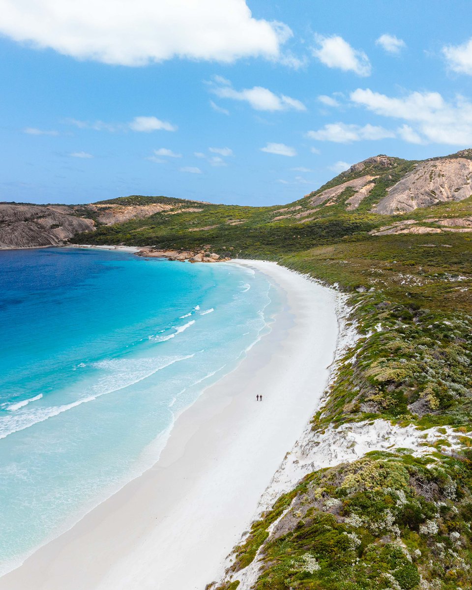 Dylan Alcock tweet media