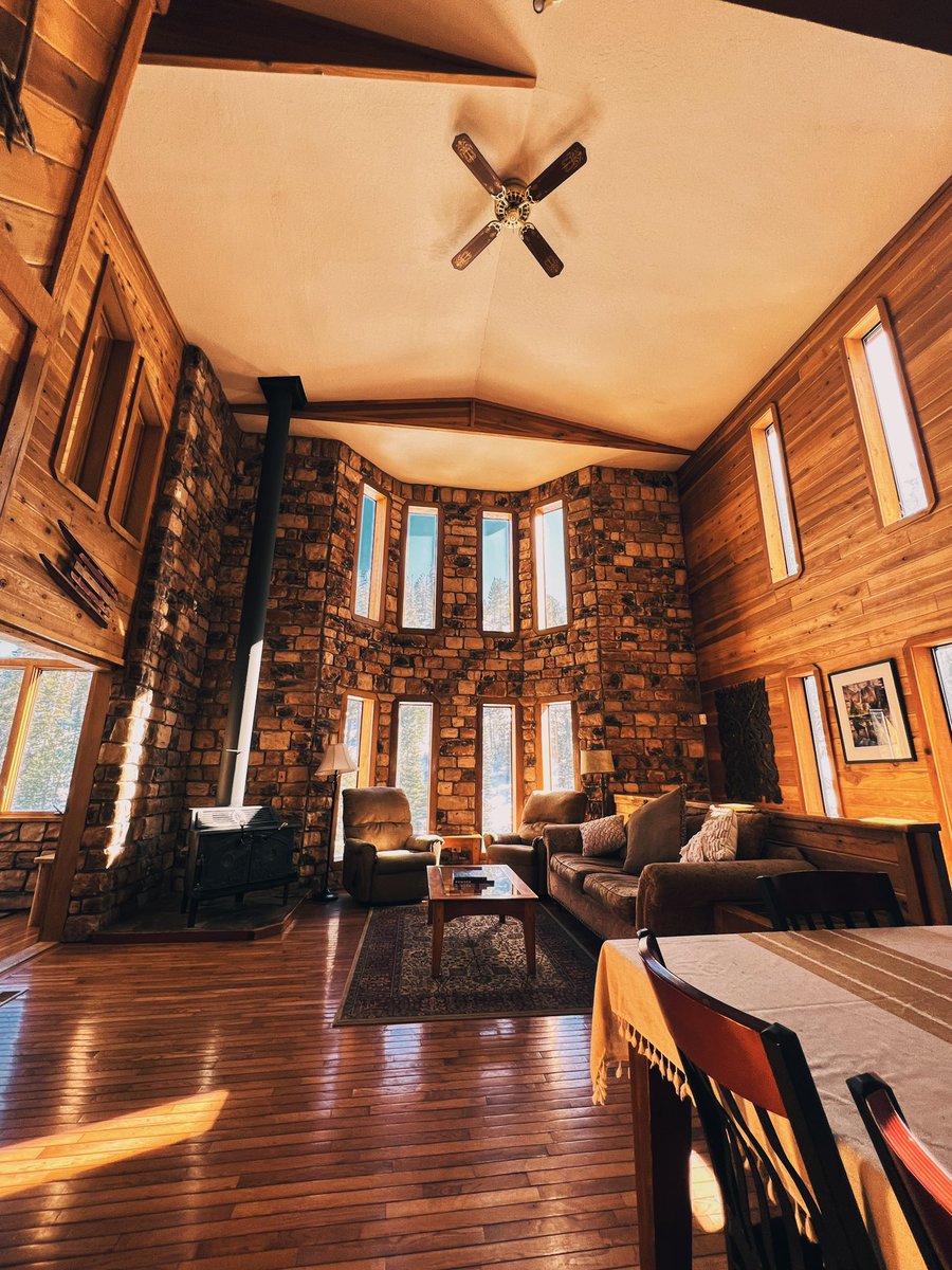 ᴅᴀᴠɪᴅ ᴍᴀʟᴀᴠᴇ tweet media