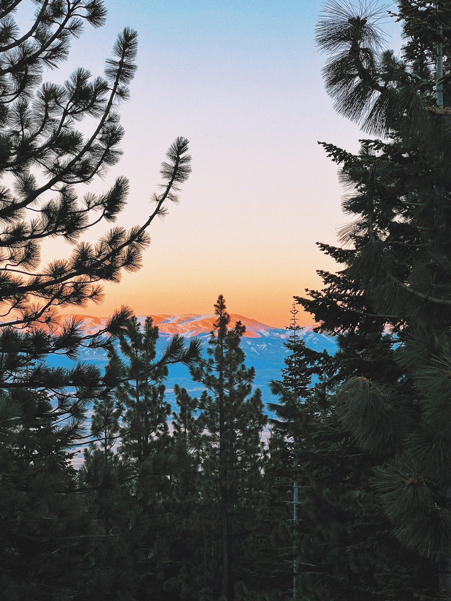 ᴅᴀᴠɪᴅ ᴍᴀʟᴀᴠᴇ tweet media