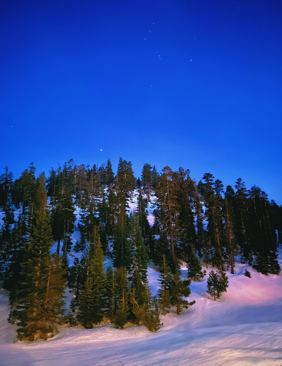 ᴅᴀᴠɪᴅ ᴍᴀʟᴀᴠᴇ tweet media