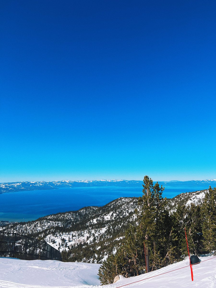 ᴅᴀᴠɪᴅ ᴍᴀʟᴀᴠᴇ tweet media