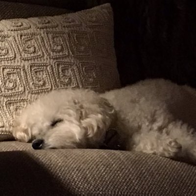 dbean01's tweet photo. #NewProfilePic https://t.co/J65OHA8BcS