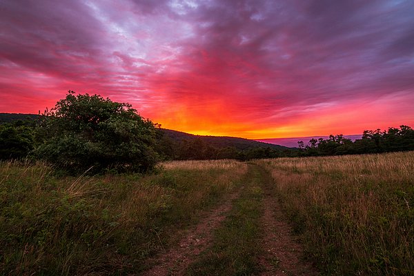 Shutterbatte's tweet photo. New artwork for sale! - "Beagle Gap Sunrise" - https://t.co/i2xjqdlckO @fineartamerica https://t.co/3ufbI7MZTU