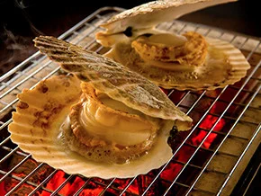 @sentakubasami1 殻はナパーム弾（900-1300度）で壊せないそうだが、アレは属性的にKEではなくTEなので特防判定では…？なお45
なのでパルシェンの「殻は」壊せない　かも… 