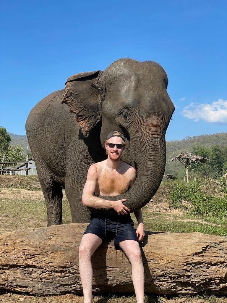 Chiang Mai Elephant Home tweet media