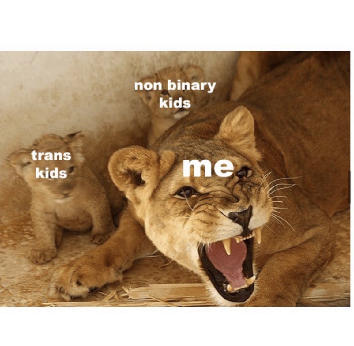 Glennon Doyle (@glennondoyle) on Twitter photo 