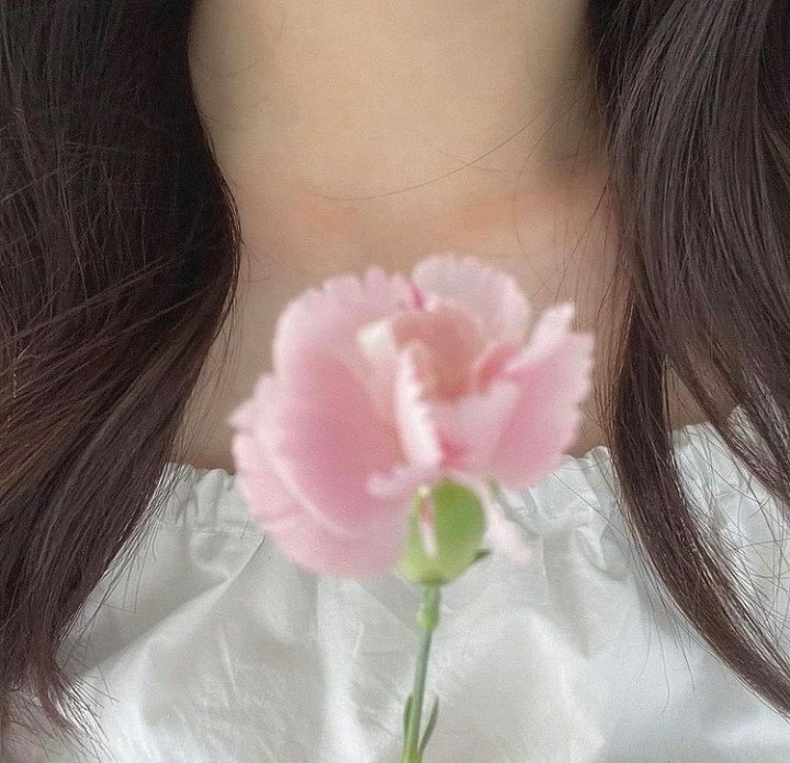 صباح الورد🌸
للهادئين لمن يُراعون أختلاف الطباع .. لبسطاﺀ ﺍﻟﺮﻭﺡ ولمن يختارون أحاديثهم بعناية خشية إيذاء أحد ..👌🏻🤍