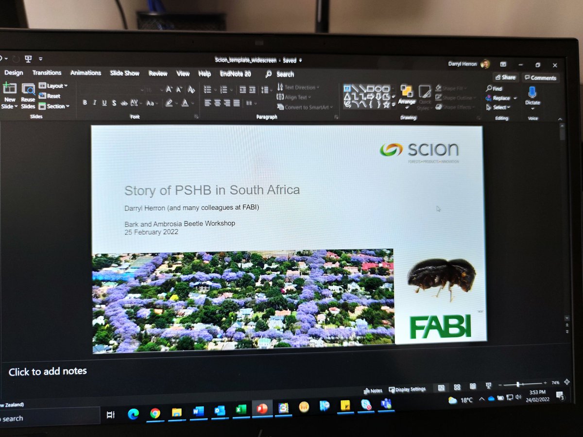 LTranslat3d's tweet photo. "The polyphagous shot hole borer is eating the front door." Having been a part of South Africa's response (lead by @Fabiteam1), I'm sharing our experience with colleagues here in Aotearoa at a bark &amp; ambrosia beetle workshop. Hoping to get a collaboration going 💪🏽 @zwdebeer https://t.co/7jCXk7qTMN