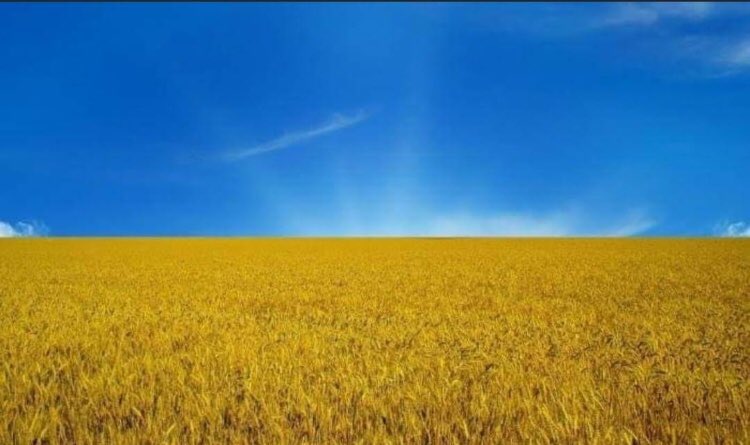 Eylul9888's tweet photo. Ukrayna bayrağının simgesi 🇺🇦
Buğday tarlalarının (refah) üzerindeki mavi gök (barış) olarak ifade edilebilen bayraktır. #Ukrayna #bayrak #simgesi https://t.co/GVho6RKJOI