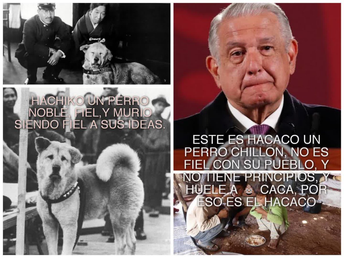 NezaPrieto's tweet photo. #LopezChillon #BodoqueDelBienestar #JoseRamonLopezBeltran4 este mendigo engaña #Morenos ladro muchos años y ahora se dedica a robar con toda su familia, gracias al ojete qué no lo desaforo @VicenteFoxQue tanto mierda uno cómo el otro @lopezobrador_ https://t.co/nDKePIFs6T