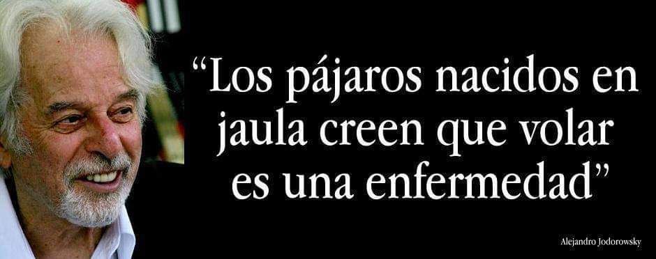 Agata Amgros (@agataamgros) on Twitter photo 