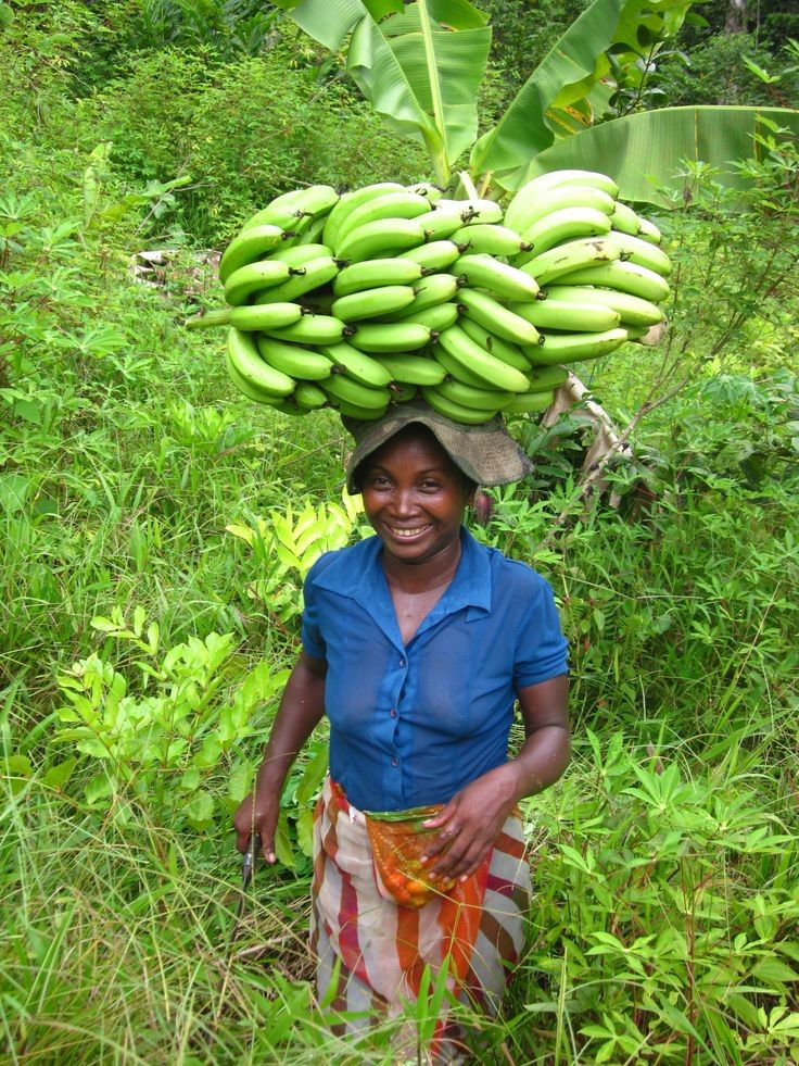 Africanism05601's tweet photo. The colonizer made sure he disconnected us from nature, and by doing so he knew that he took away our power, because  nature is us and we are nature. https://t.co/YuVkcg2bqb