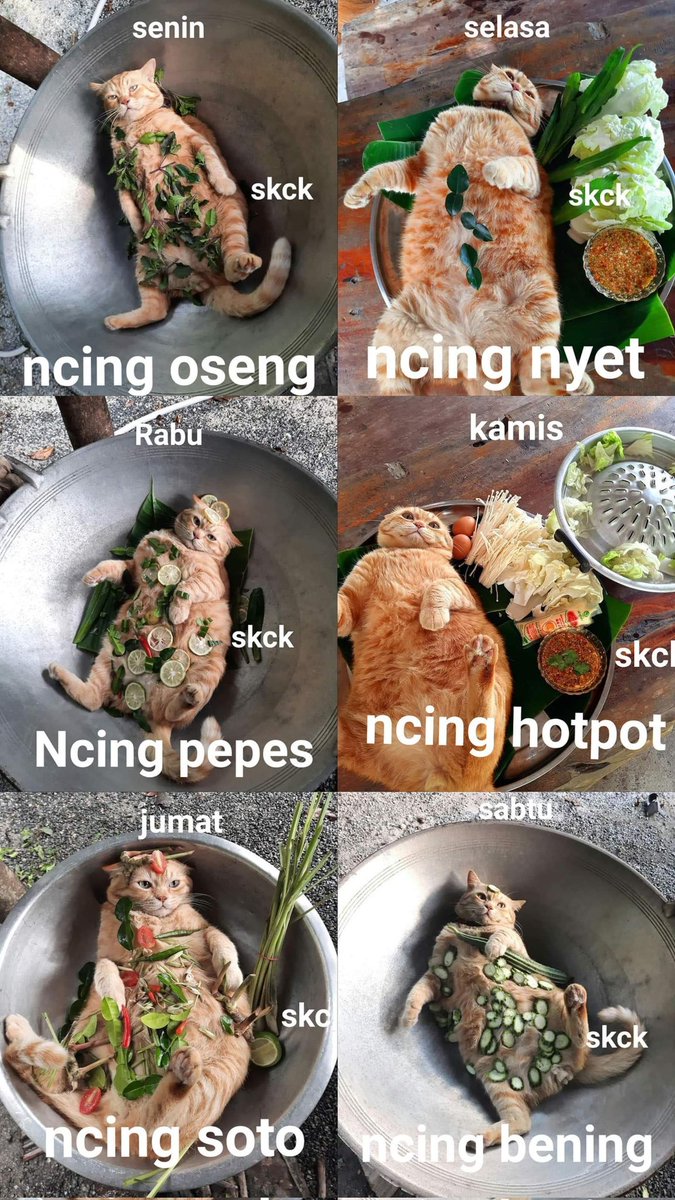 petsfess's tweet photo. kcg! selamat beristirahat jangan lupa makan siang .. silahkan dipesan https://t.co/oE8ONWCuT5