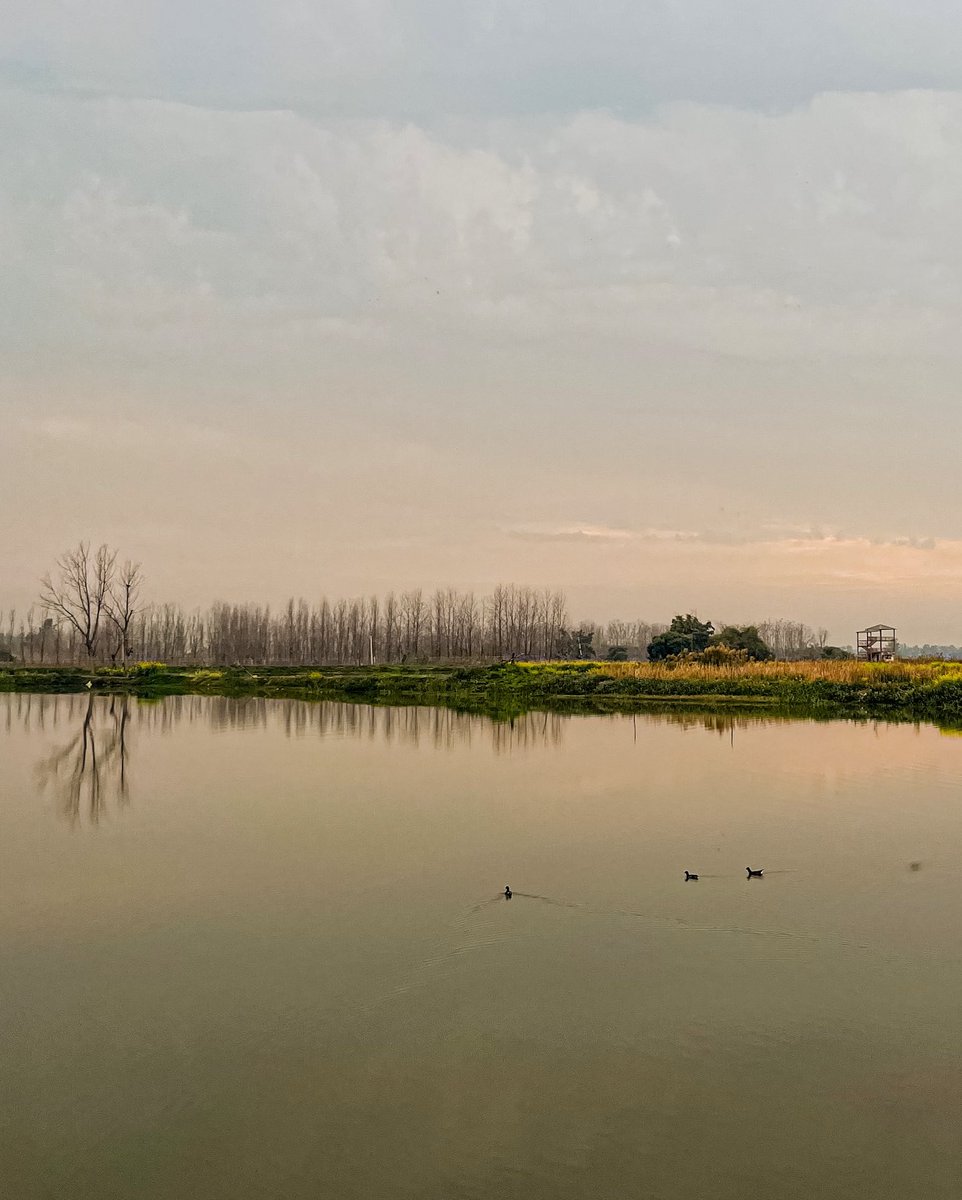 shikharsaini2's tweet photo. Life outside the city . 
Took a short break from work yesterday and went to outer skirts of the city and framed some moments from there :) 
@apple #shotoniphone https://t.co/9dKP1huNEu