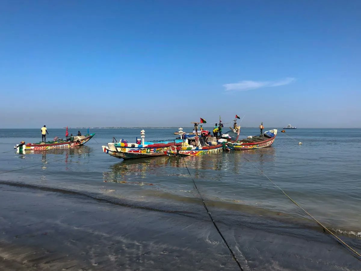 Put C56DF Gambia into your Ham Radio Deluxe #logbook
9-18 Mar 2022 QRV HF Bands, CW, including activity in BERU Contest
bit.ly/3Ifzpcj
#HamRadio #AmateurRadio #Hamr #HamRadioSoftware #HamRadioDeluxe #SpreadTheWord