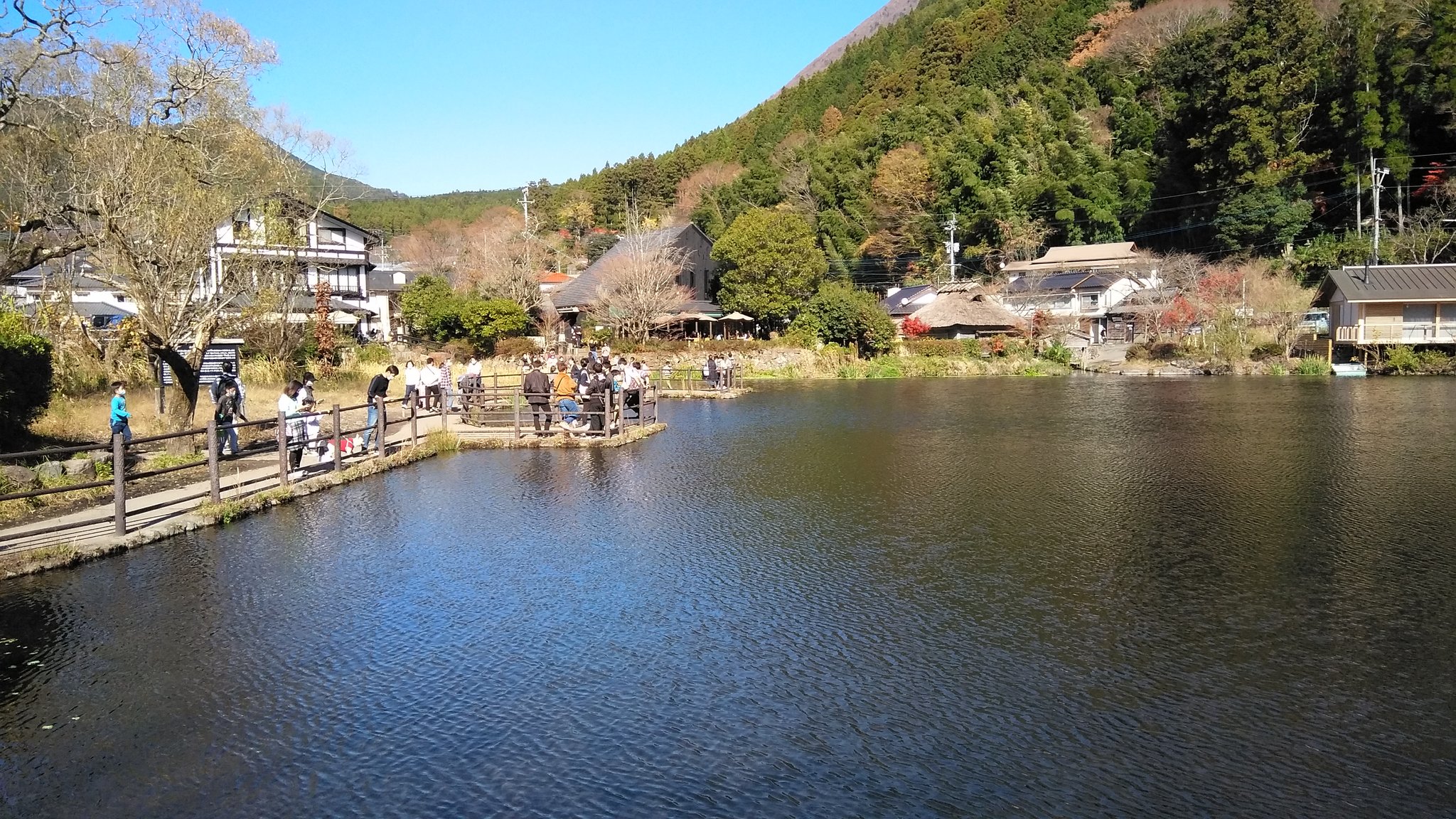 湯布院金鱗湖 Twitter Search Twitter