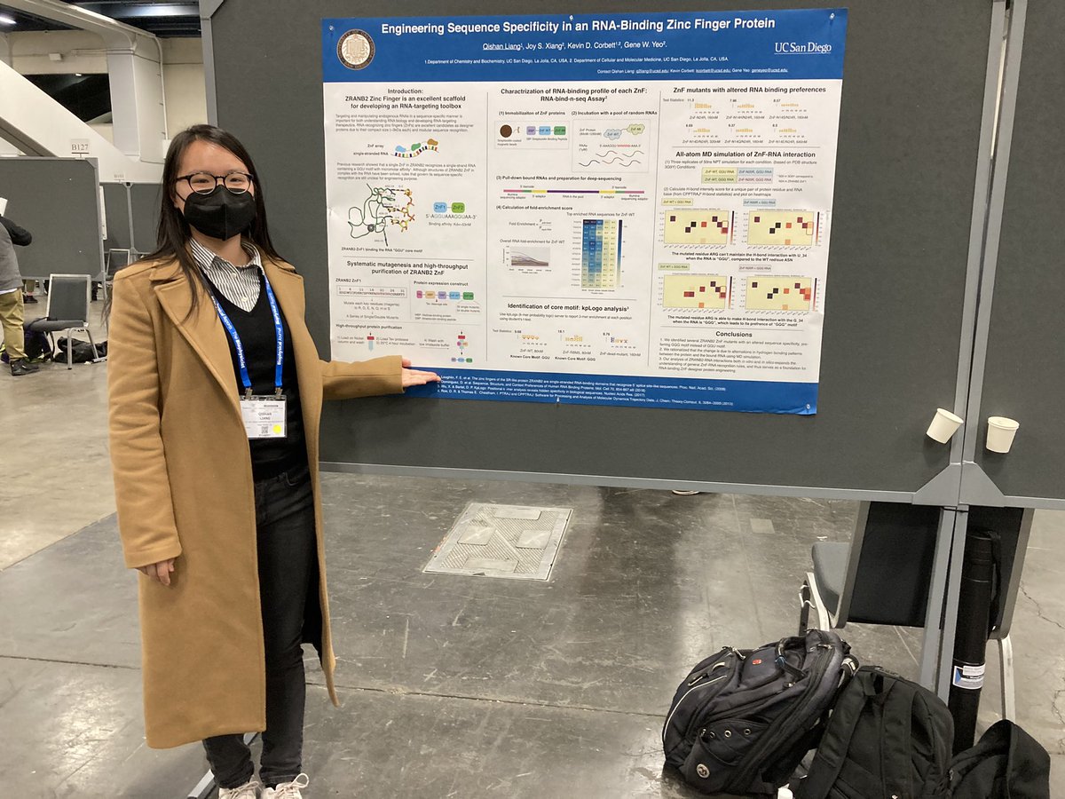 Lisa Liang tweet media