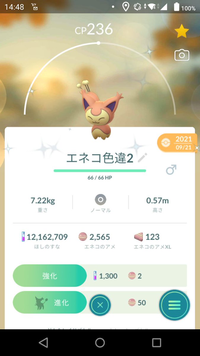 ポケモンgo エネコの色違い 入手方法と実装状況 攻略大百科