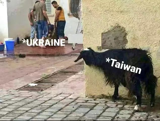 FMVwkcBVkAAxuQi