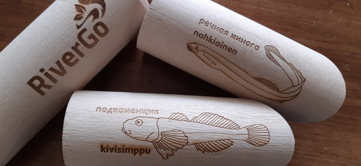RiverGo3's tweet photo. RiverGo project visited The School of Eastern Finland #Imatra where educational material produced by the project for environmental awareness was handed over to the teachers @sefinruscbc @enicbc @baltic_nwb https://t.co/Y6W26y2uJt