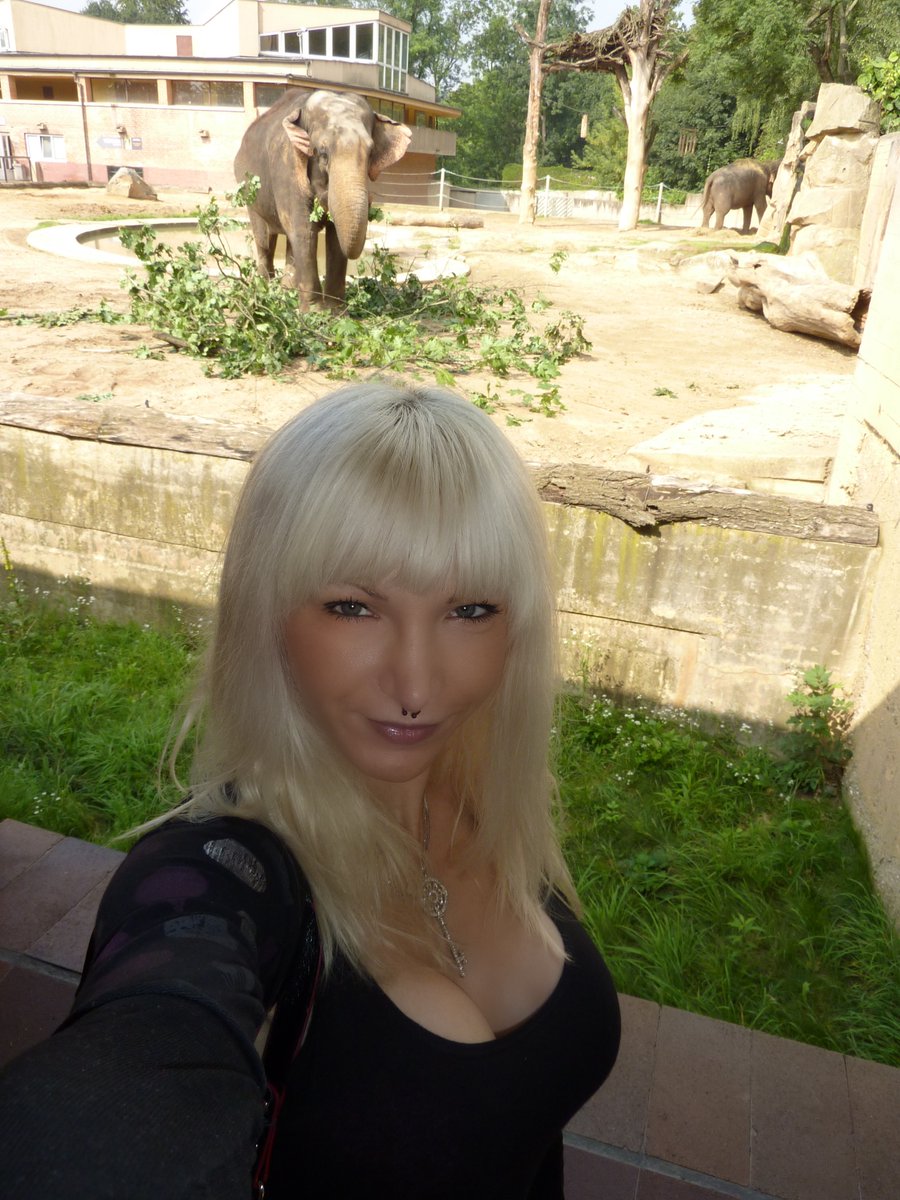 Susan Wayland tweet media