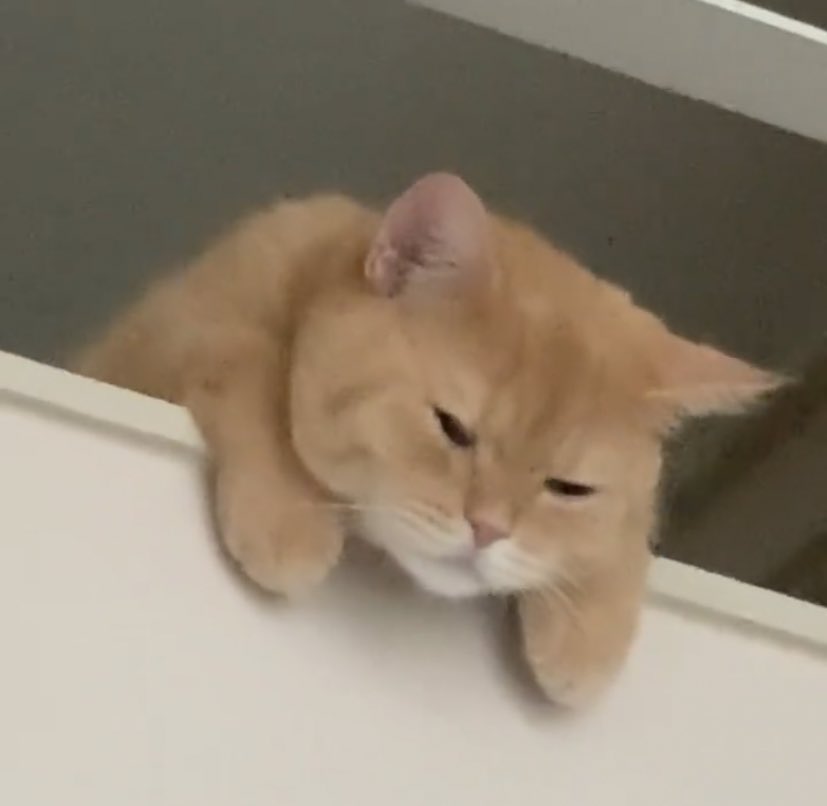 เธรดวัยรุ่นส้ม