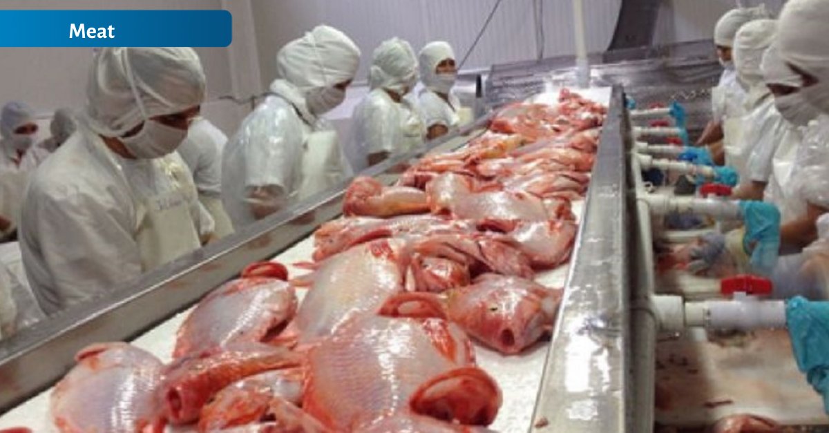 datamar's tweet photo. Brazil is the fourth-largest producer of tilapia and the country with the most growth potential in the world in the sector. Read more:https://t.co/PVdfJbwxrA
Clique aqui para ler o texto em Português: https://t.co/YUGjVKuvny
#exports #tilapia #fishexports https://t.co/GoC0QHTKHY