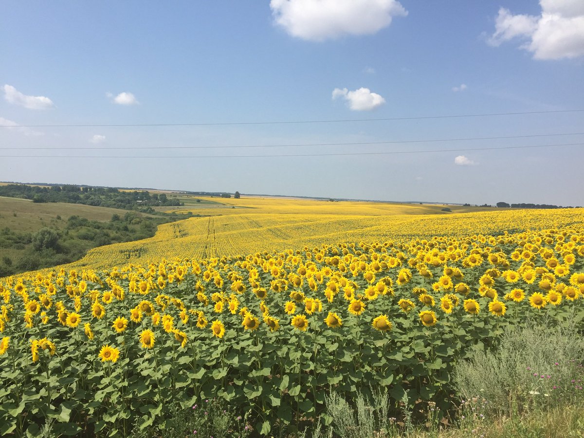 Darrell Dexter tweet media