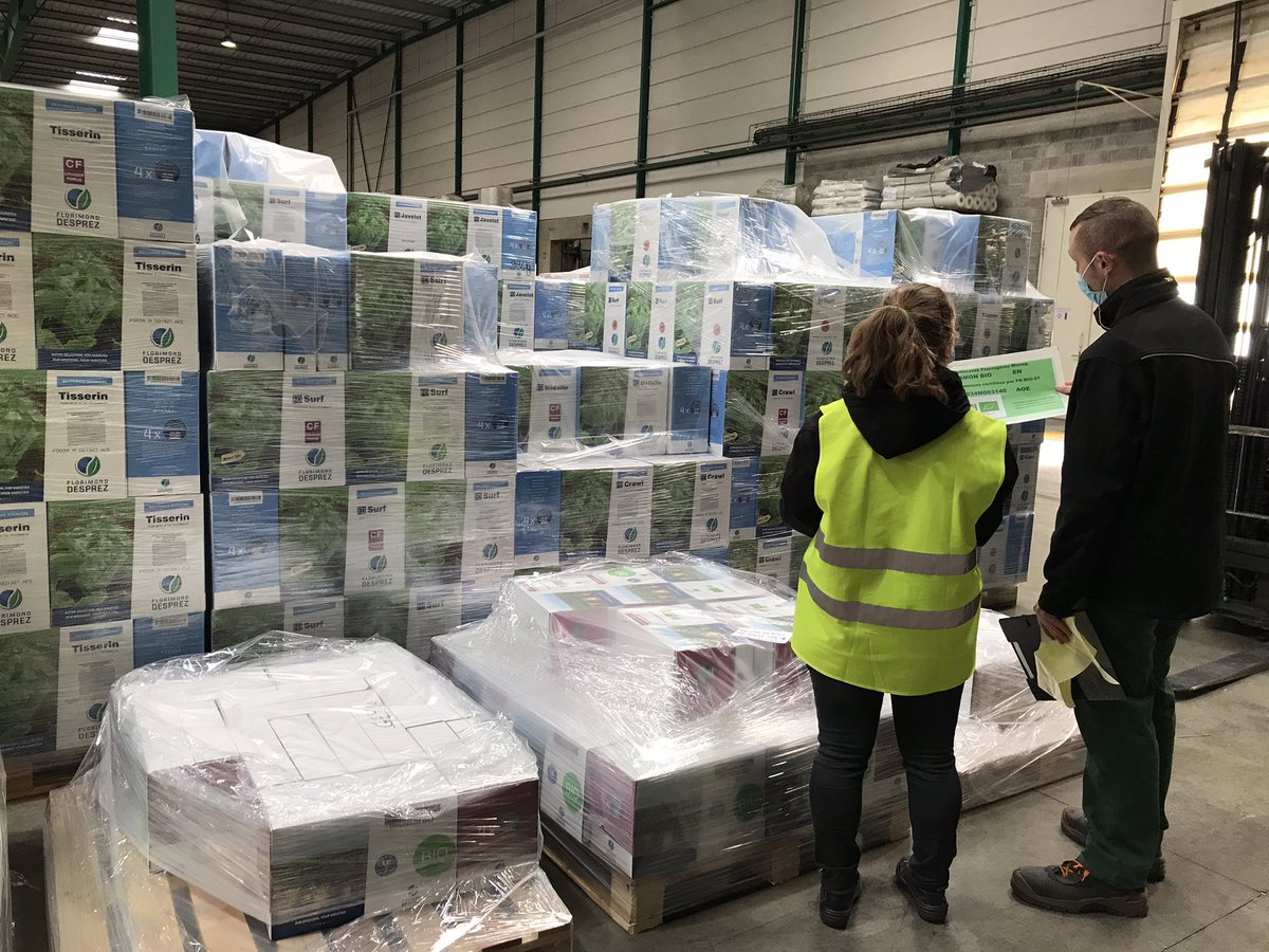 Dernier contrôle qualité avant l’expédition de nos semences biologiques #betteraves #agriculturebiologique <a href="/GroupeFDesprez/">Florimond Desprez</a>