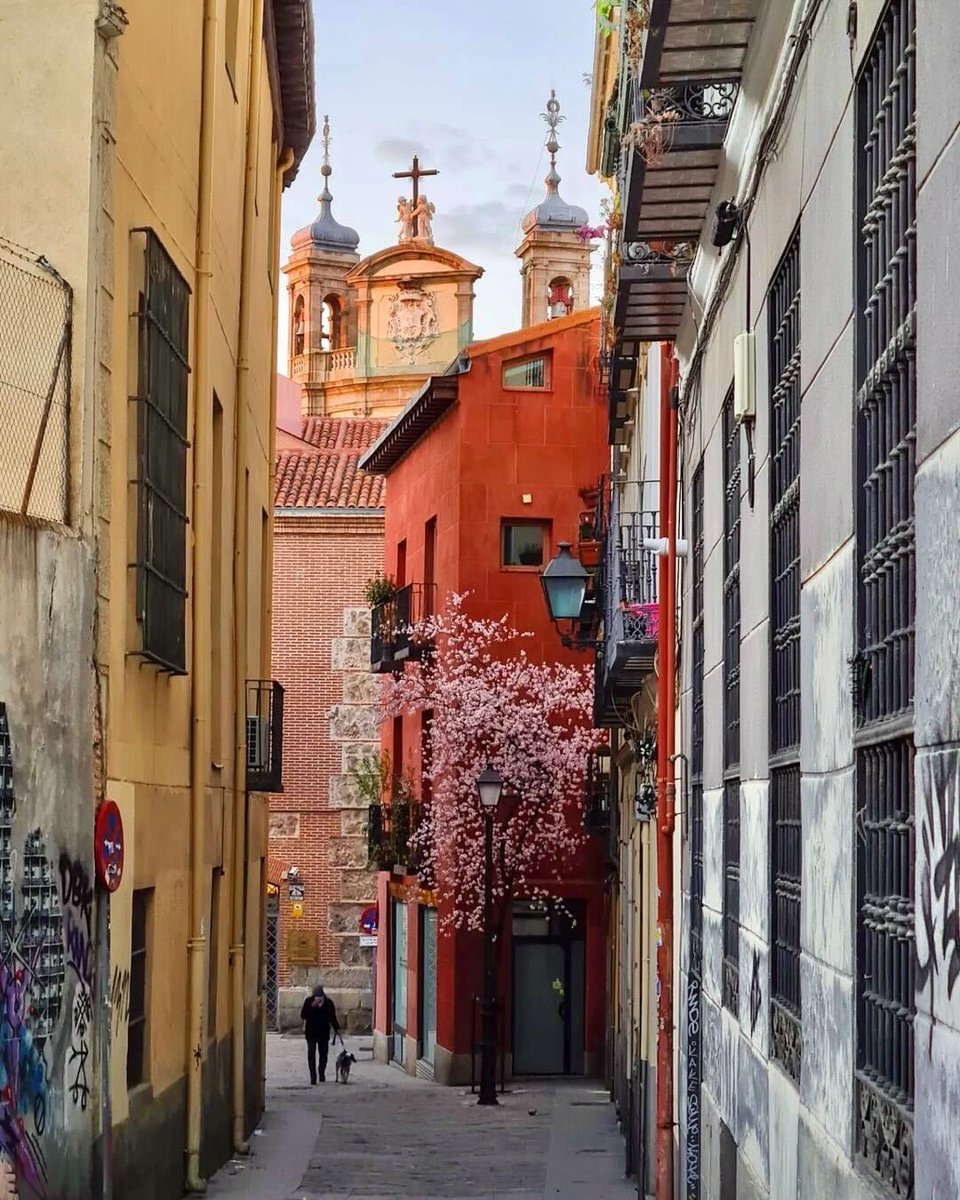 Visita_Madrid's tweet photo. Calle del Almendro. 🌸

📸 putomadriz (IG).

#VisitMadrid #Madrid https://t.co/QrT9hrkI3R