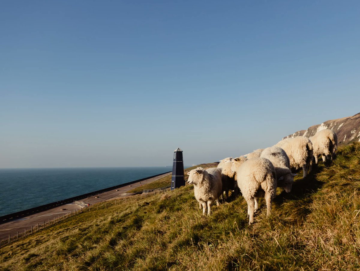 england_coast's tweet photo. 👋 Think you know the coast? Can you name the locations of these 3 photographs? 

Clue, they're all in this region: https://t.co/7yzHdMvp18 https://t.co/MqUMu9NVSb