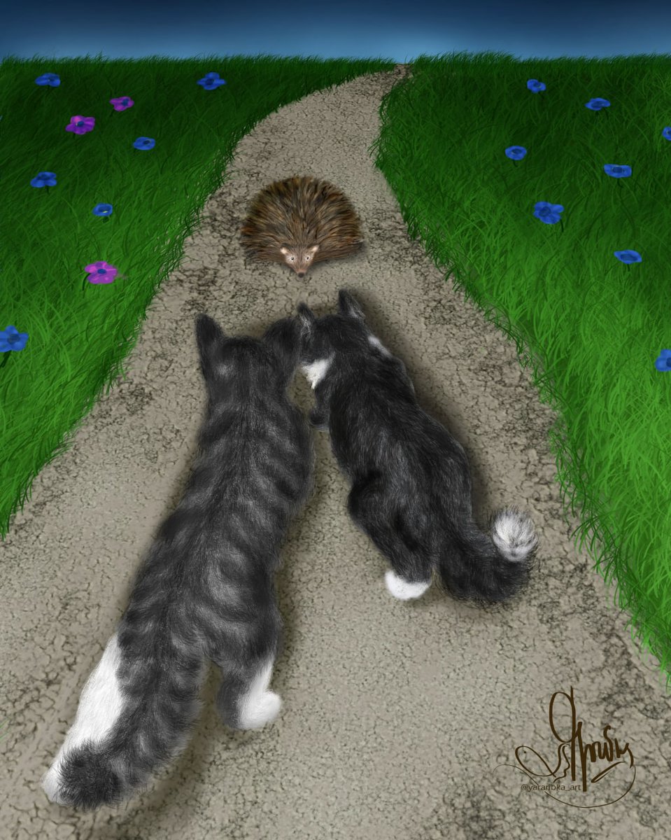 Evening meeting. Two kittens saw a hedgehog for the first time. #art #cats