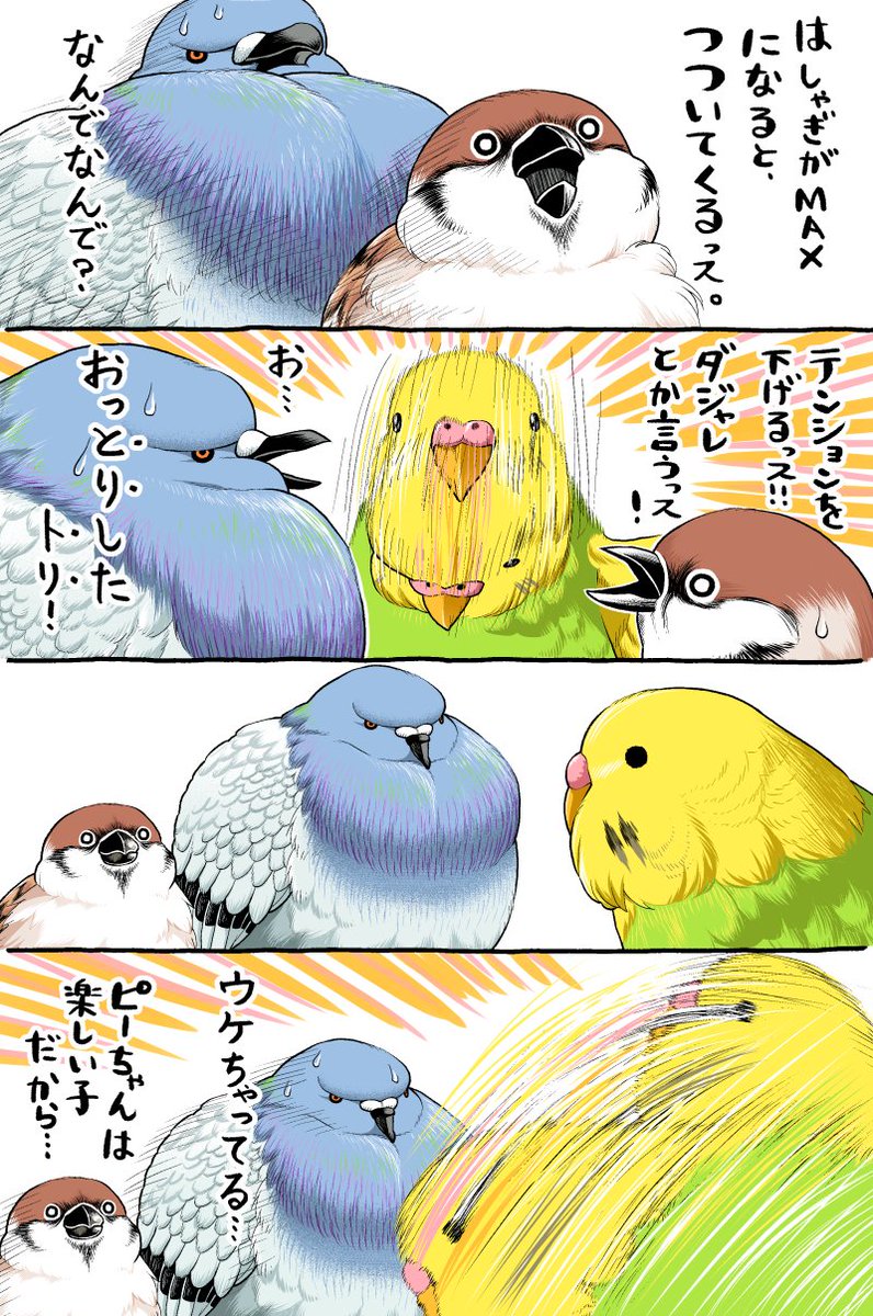 セキセイインコのピーちゃん 