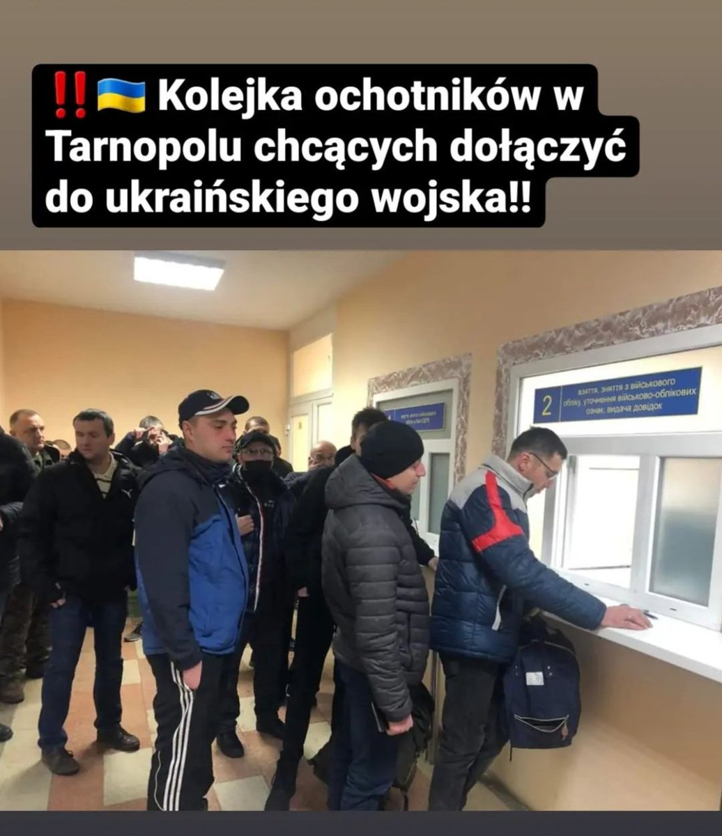 KubSonekk tweet media